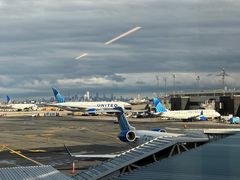 -纽瓦克自由国际机场