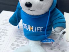 -I'm Angus Steakhouse