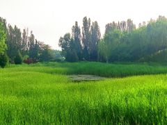 -北坞公园