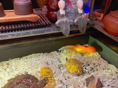 -大班公馆