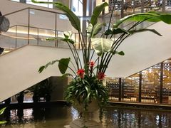 景观位-白天鹅宾馆·流浮阁咖啡厅