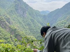 -龙湾潭国家森林公园