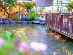 -大门水乡·顺德菜