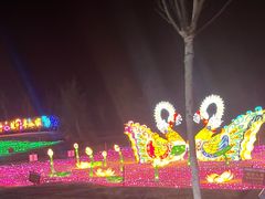 -金沙湖旅游度假区