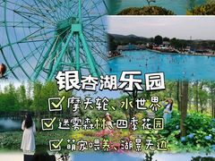 -南京银杏湖乐园