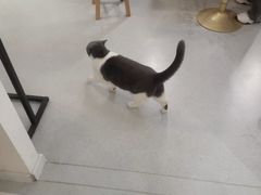-云城照相馆(龙湖雨山天街店)