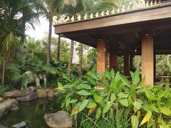 -西双版纳洲际度假酒店-曼霖轩中餐厅
