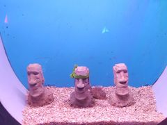 -常州海昌海洋探索馆