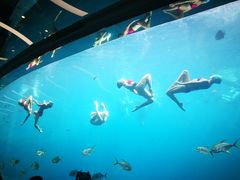 -瑞德姆美人鱼海底演艺主题餐厅(亚龙湾店)