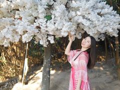 -那琴半岛地质海洋公园