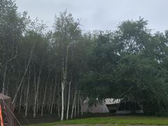 -哈尔滨大剧院