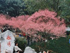 -重庆彩云湖湿地公园