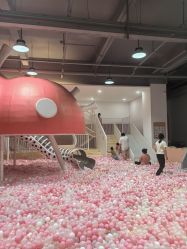 -宝燕乐园(春申店)