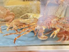 -阳光码头海鲜火锅(世纪大道店)