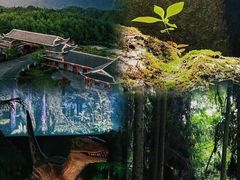 -梭布垭石林景区