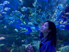 -顺德南宏海立方海洋公园