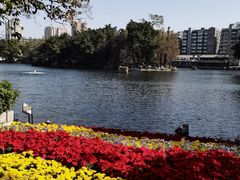 -荔湾湖公园