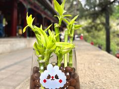 -潭柘寺景区