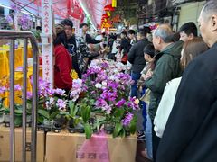 -越秀西湖花市(广州城市广场花卉店)