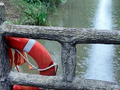 -黄海国家森林公园