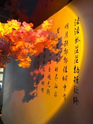 -雅极坞国潮SPA轻养馆