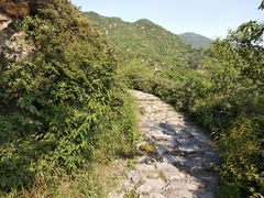 -阳台山自然风景区