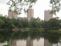 -晓港公园