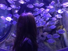 -成都浩海立方海洋公园