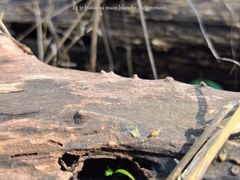 -南京市江宁方山