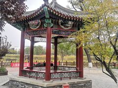 -西海子公园