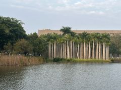 -北京师范大学(珠海校区)