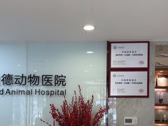 -北京派仕佳德动物医院·超导核磁·CT·神经科·骨科·内外科·急重症管理中心