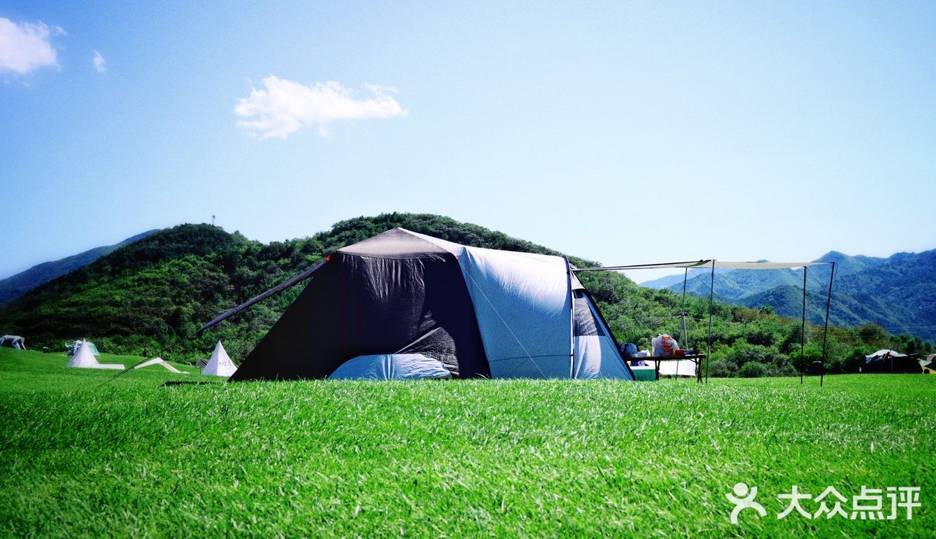 可以疯狂撒欢儿的大草坪，等你哦！