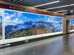 -大望路(地铁站)