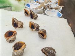 -丰卓会海鲜自助(中润大道店)