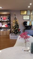 -海豚湾高端月子会所(黄浦店)