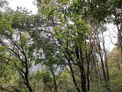 -大雁山风景区