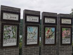-重庆彩云湖湿地公园