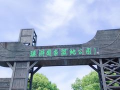 -溱湖国家湿地公园