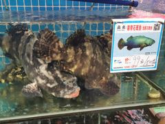 -范饭椰林川湘味海鲜·椰子鸡(三亚湾椰梦长廊店)