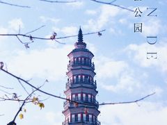 -顺峰山公园