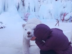 -沕沕水生态风景区