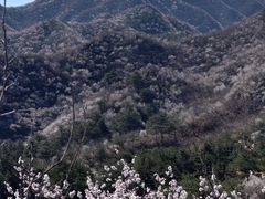 -龙泉峪长城