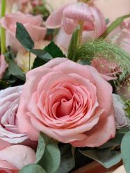 -Oasis Beauty水磨坊科技美肤中心