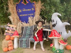 -HERRE·FARM 赫尔露营农场·团建聚会包场