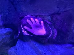 -首钢一高炉·SoReal科幻乐园