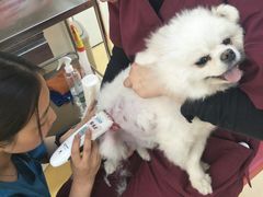 -芭比堂动物医院·犬猫全科·异宠专科(雁塔分院)