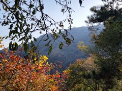 -香山公园
