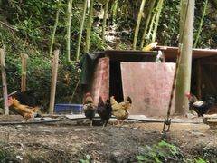 -WILDS 野有食(碧坞店)