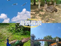 -沈阳鸟岛